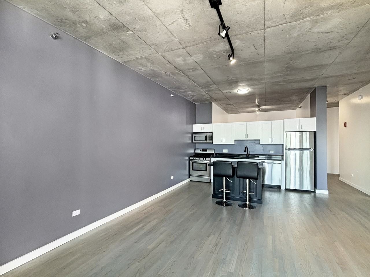 1720 S Michigan Ave, Chicago, IL - Photo 4 of 21