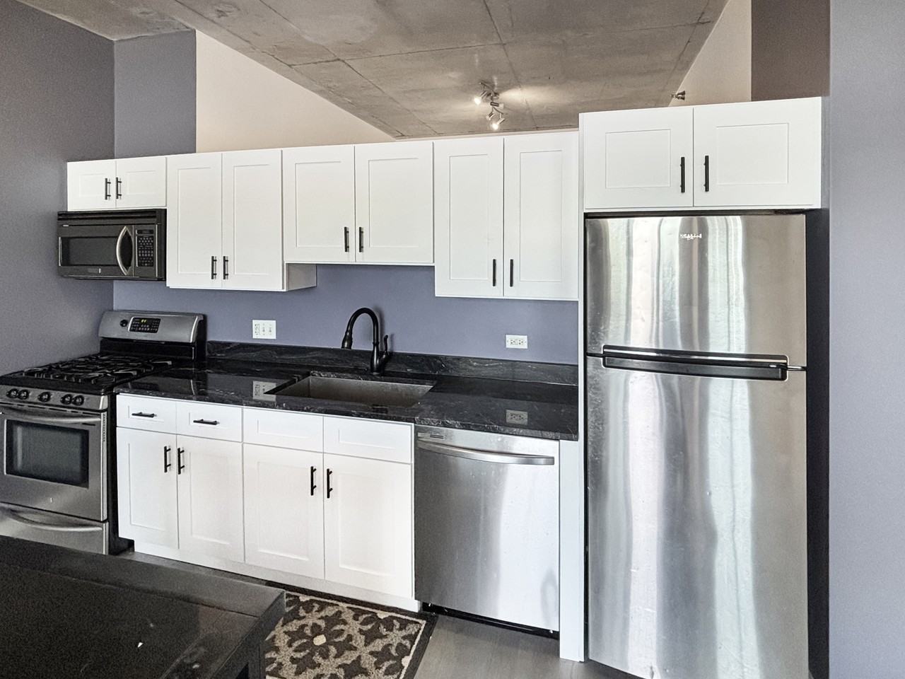 1720 S Michigan Ave, Chicago, IL - Photo 7 of 21