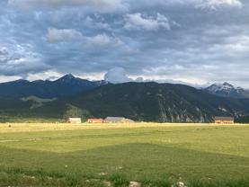 106 Buffalo Trl - Photo 1 of 1