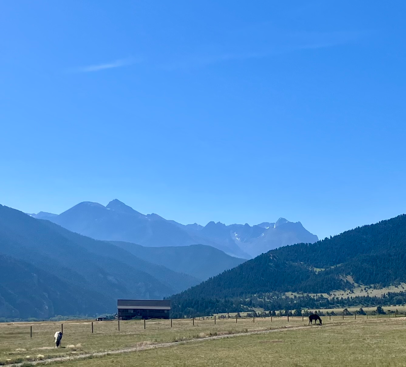 106 Buffalo Trail - Photo 3 of 13