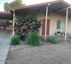 11222 N 15th Ln #B - Photo 1 of 1