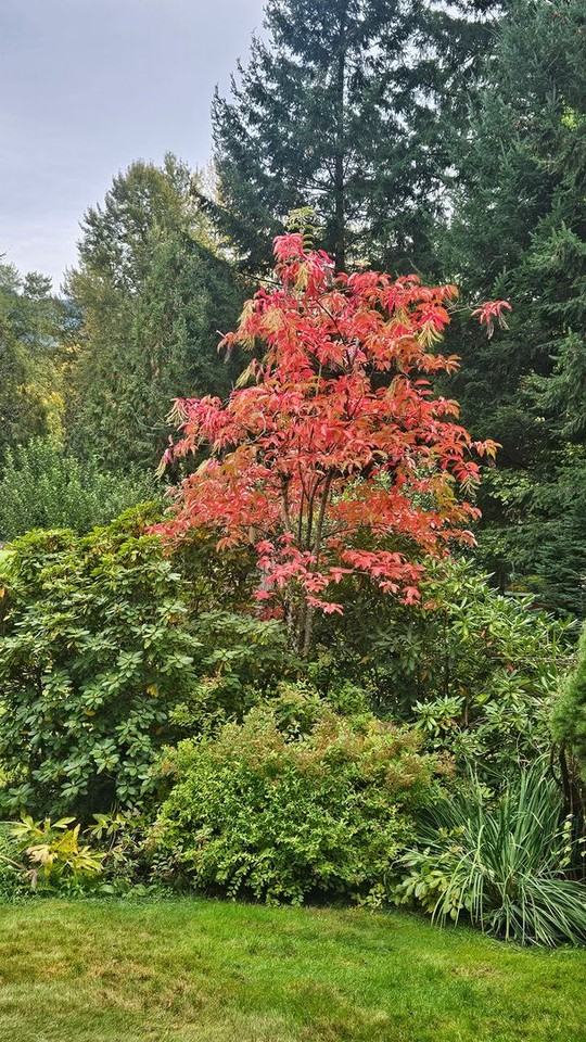 24880 E Arrah Wanna Blvd - Photo 3 of 10