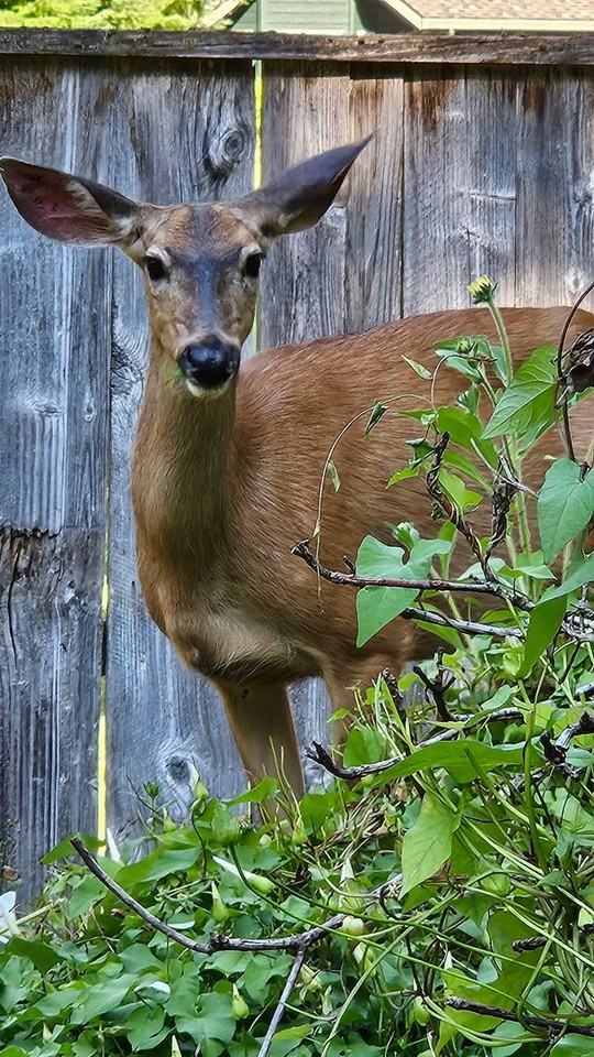 24880 E Arrah Wanna Blvd - Photo 4 of 10