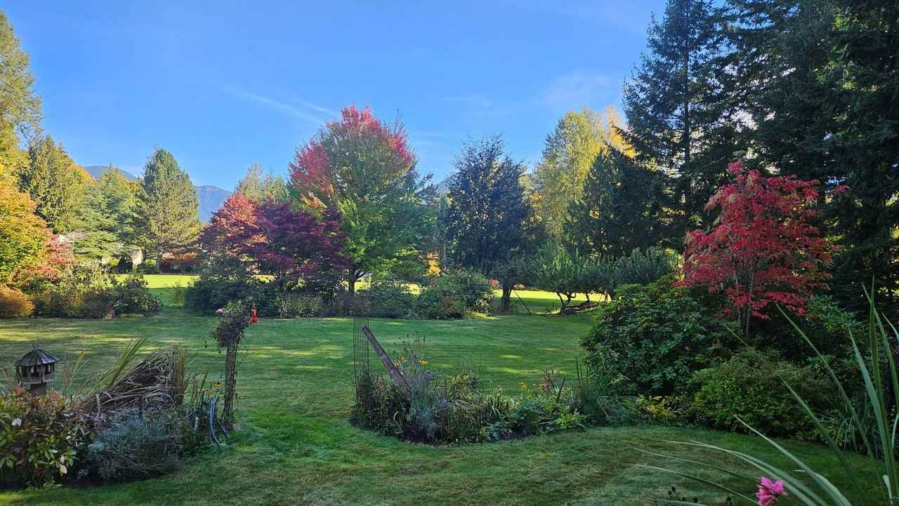 24880 E Arrah Wanna Blvd - Photo 7 of 10