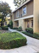 251 Pineview - Photo 1 of 1