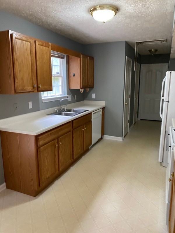 2812 Roscommon Dr - Photo 3 of 6