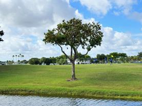 984 Normandy U - Photo 1 of 1