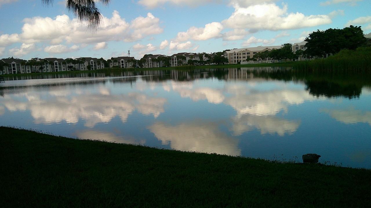 2733 S Oakland Forest Dr #104