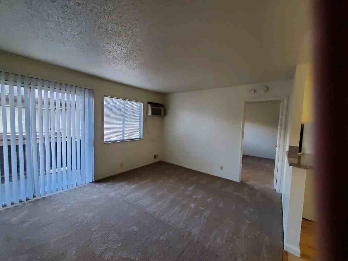 3330 Willow Pass Rd - Photo 3 of 6