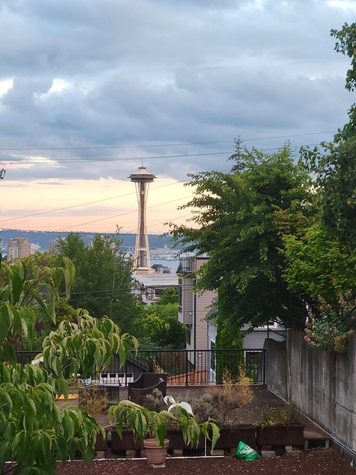 1514 Bigelow Ave N #1325080P - Photo 6 of 43