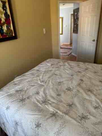 Shadow Pl & Finch Ave - Photo 3 of 9