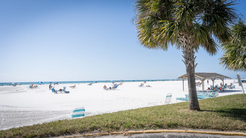 5830 Midnight Pass Rd #802 - Photo 6 of 20