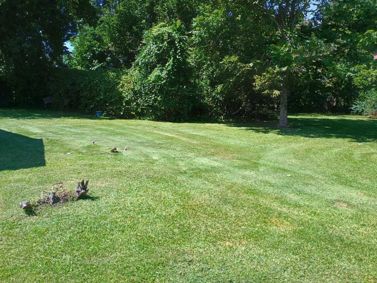 312 Walnut Creek Ct #NA - Photo 3 of 5