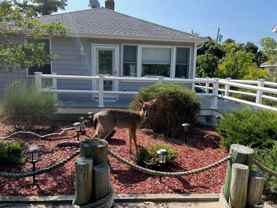 45 Beachwold Ave - Photo 1 of 1