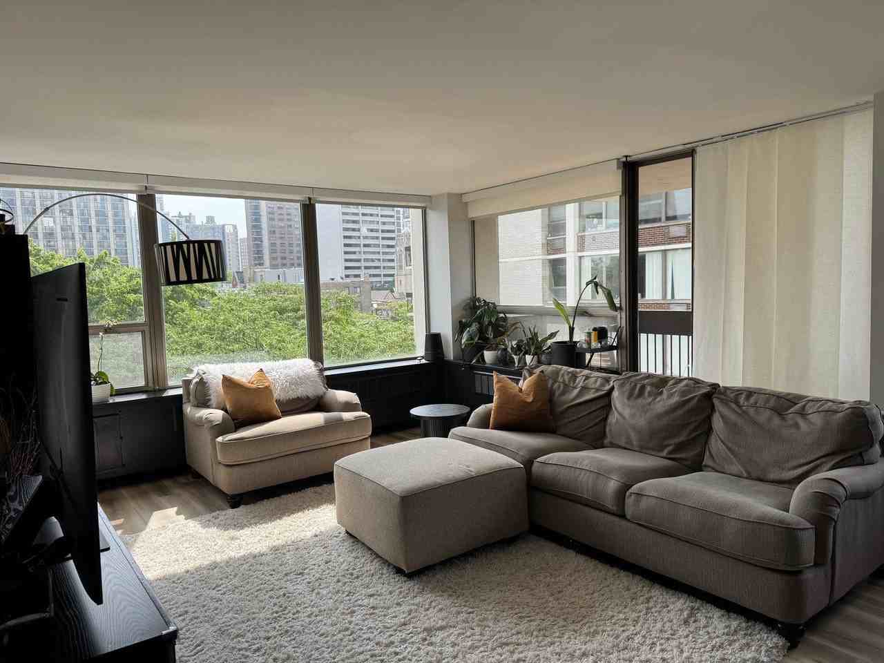 1460 N Sandburg Ter #501 - Photo 2 of 27