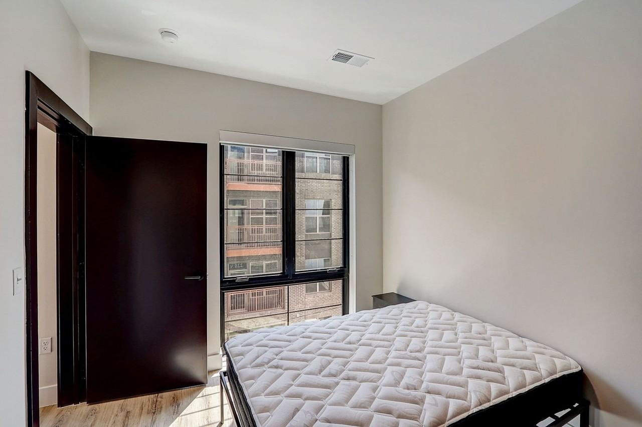 Cypress on Vine - Photo 7 of 50