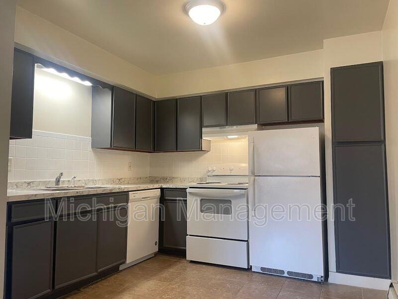 59425 10 Mile Rd #2A - Photo 4 of 15