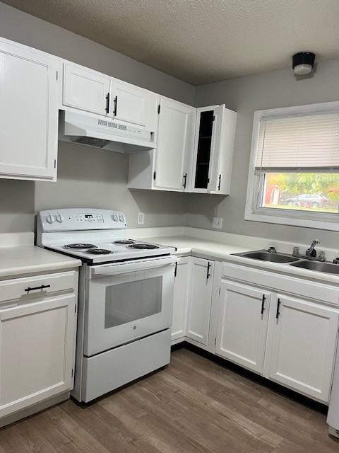 1729 Bancroft Avenue - Photo 2 of 13