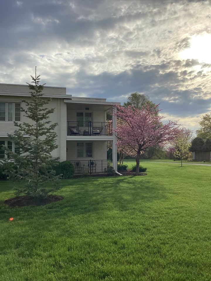 6204 West Kimberly Road - Photo 3 of 34