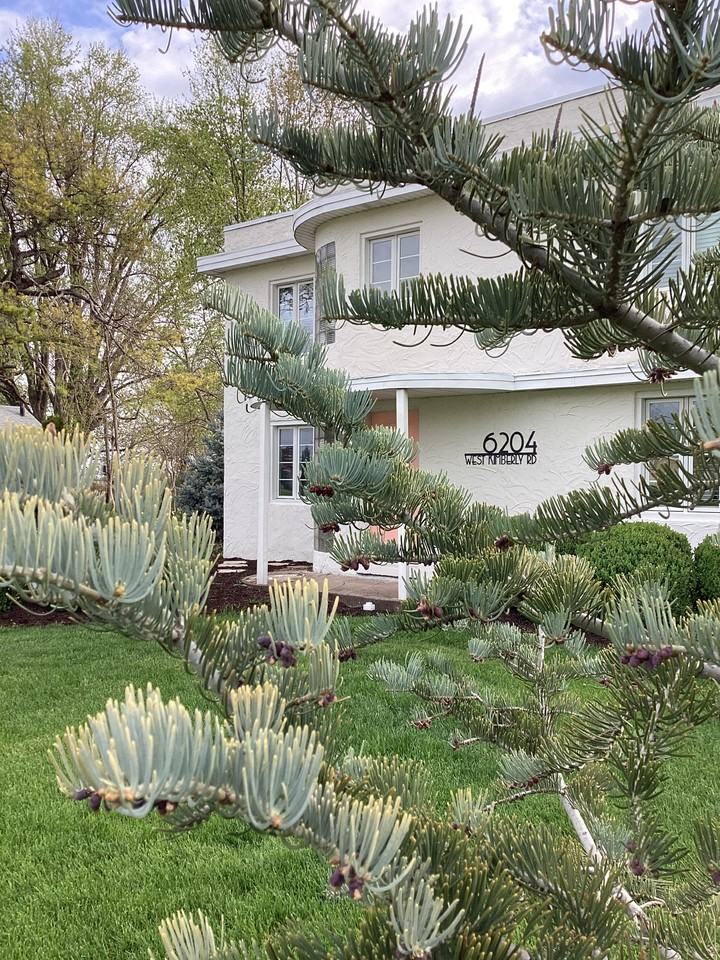 6204 West Kimberly Road - Photo 6 of 34