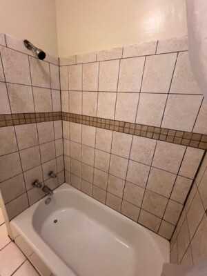 1347 W Touhy Ave #2S - Photo 5 of 18