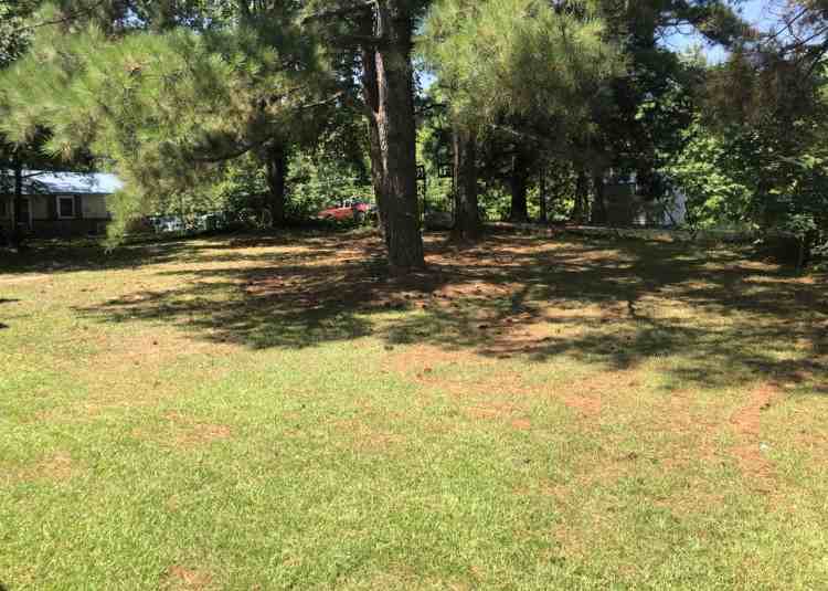 103 Love St #A - Photo 4 of 22