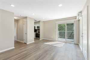 featured image of Lotus Ct