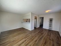 Camellia Ct. - 3120 - Photo 1 of 1