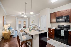 featured image of 1001 Amelia Station Way