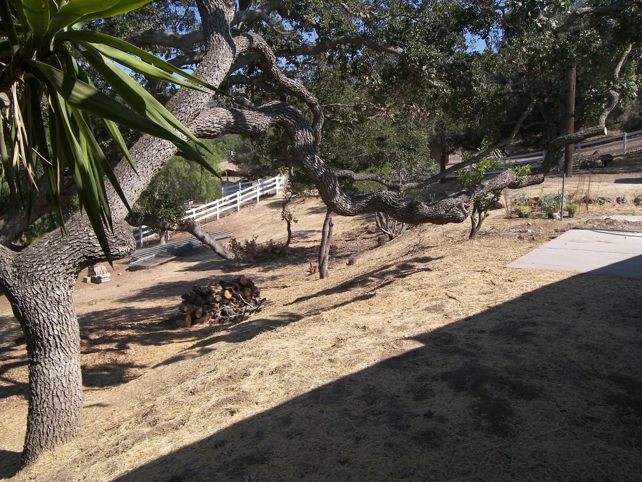 130 Chisholm Trail - Photo 3 of 16