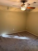 3101 W Brenda Loop - Photo 1 of 1