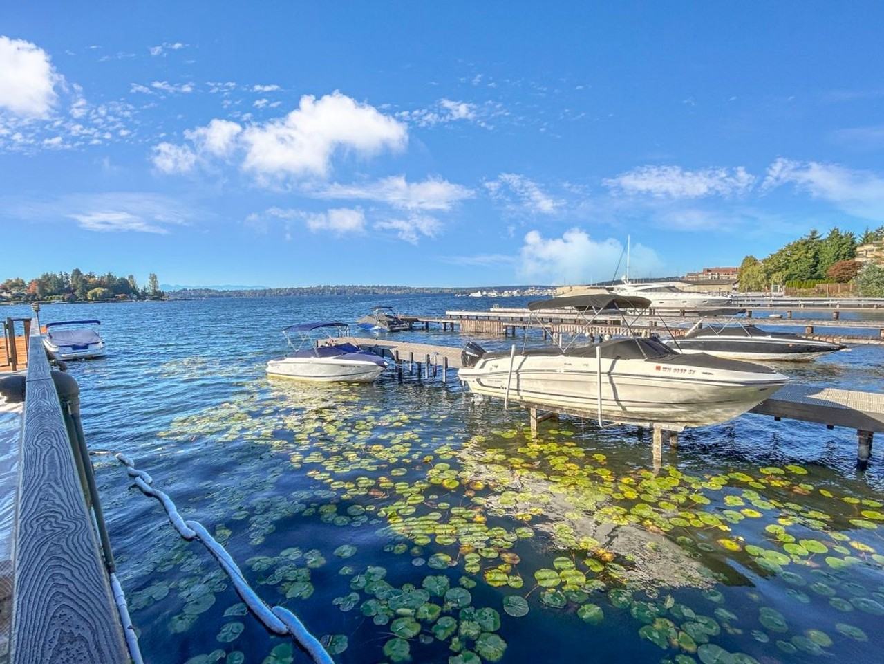 4561 Lake Washington Blvd Ne #303