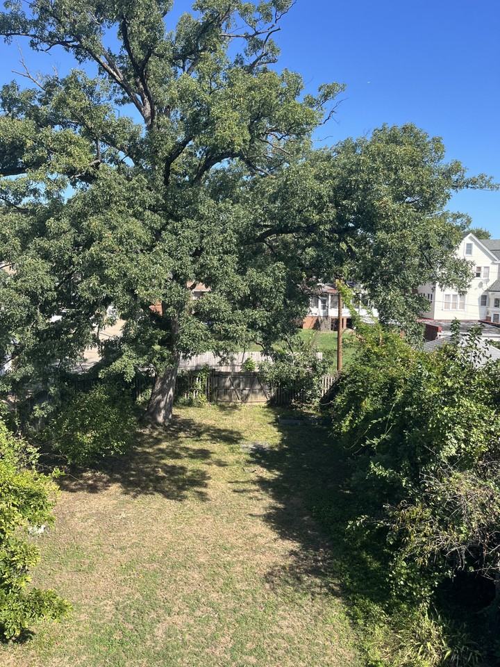 1509 Gallatin St Nw - Photo 3 of 35