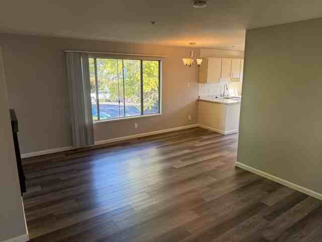 910 Joanne Ct #C - Photo 7 of 21