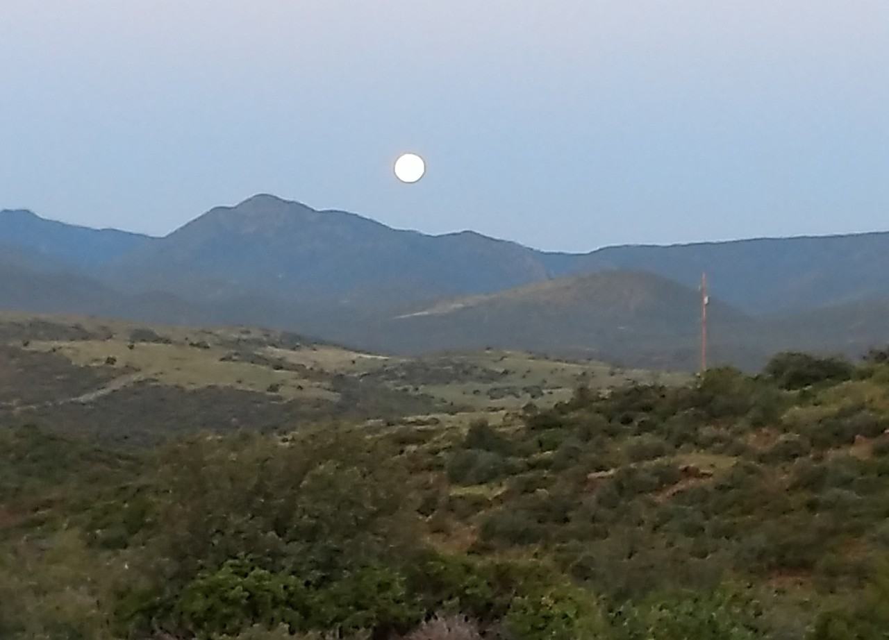 14065 E Beveryl Hills Dr #NA - Photo 3 of 5