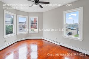 featured image of 119 Chester St #3L
