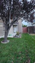 9548 W Weir Hollis Dr - Photo 1 of 1