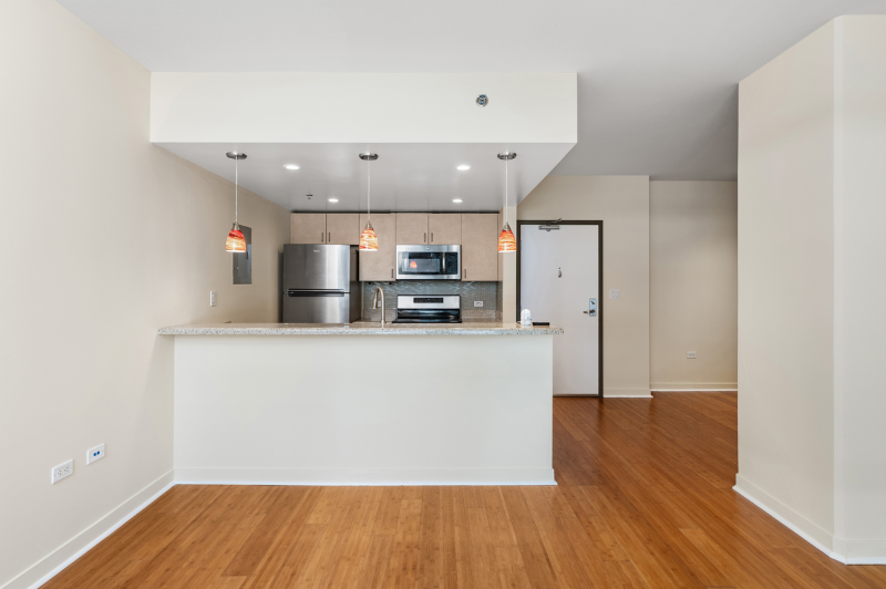 425 W Beech St #611 - Photo 6 of 20