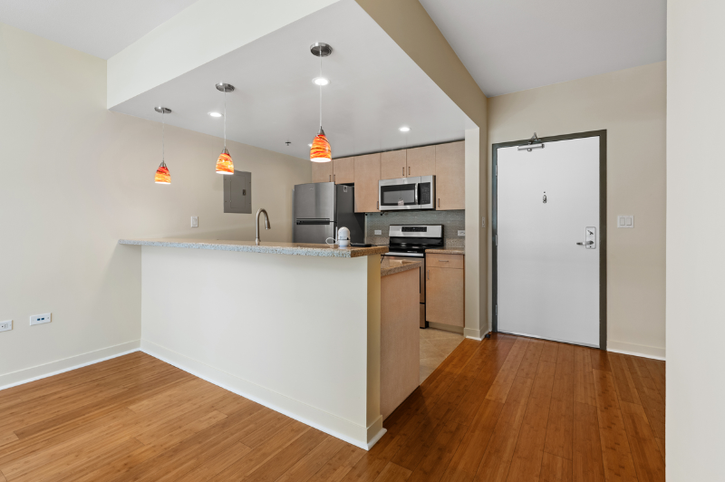 425 W Beech St #611 - Photo 7 of 20