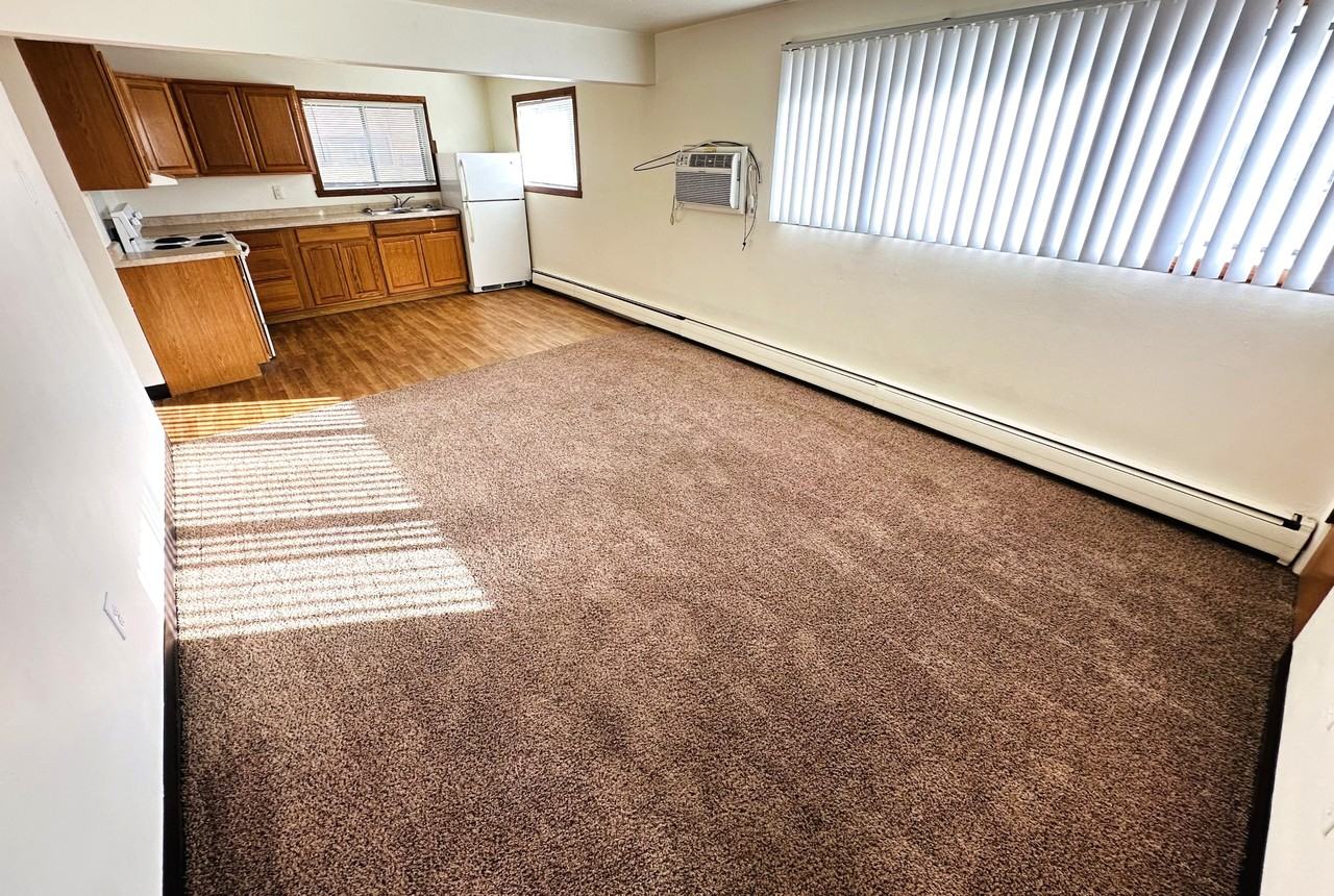 315 S Marshall St - 12 PLEX - Photo 3 of 11