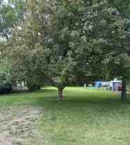 Deering MHP - Photo 1 of 1