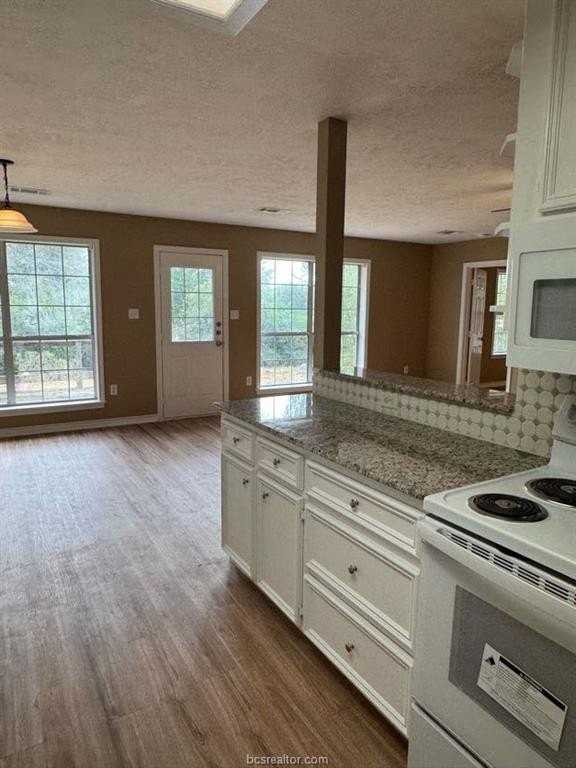 1809 Richmond Ave - Photo 5 of 12