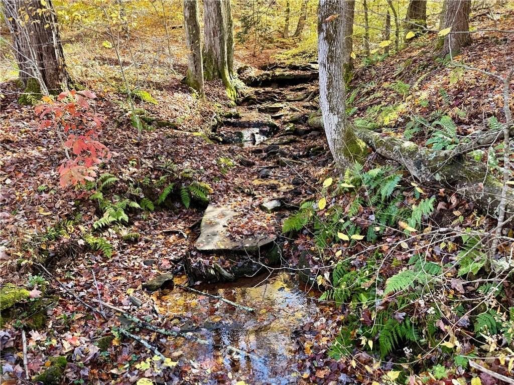 221 Centennial Farm Lane - Photo 7 of 39