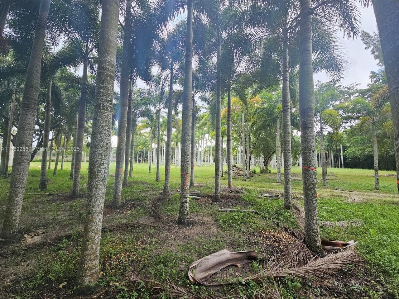 15101 Sw 27th St #0 - Photo 3 of 43