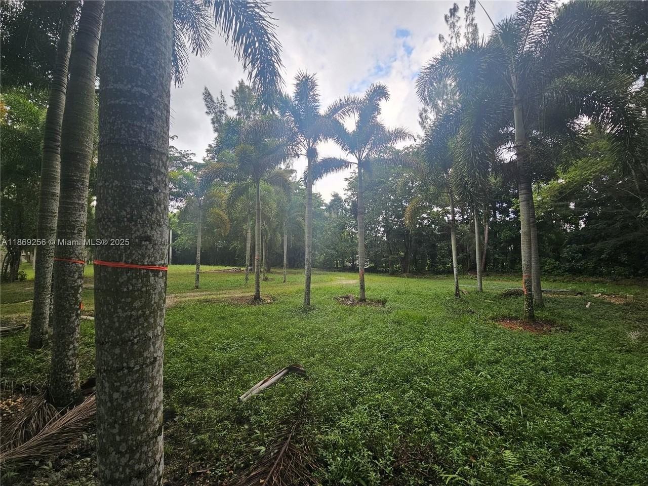 15101 Sw 27th St #0 - Photo 4 of 43