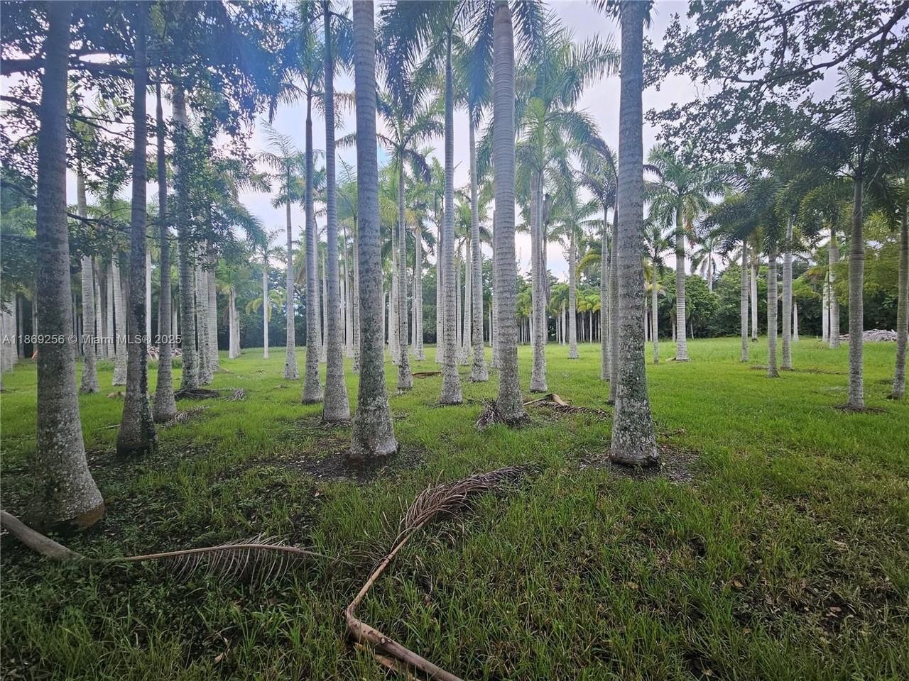 15101 Sw 27th St #0 - Photo 7 of 43