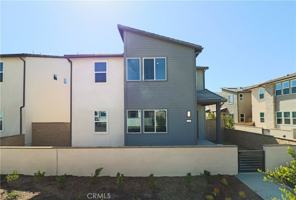 featured image of 273 Shoveler