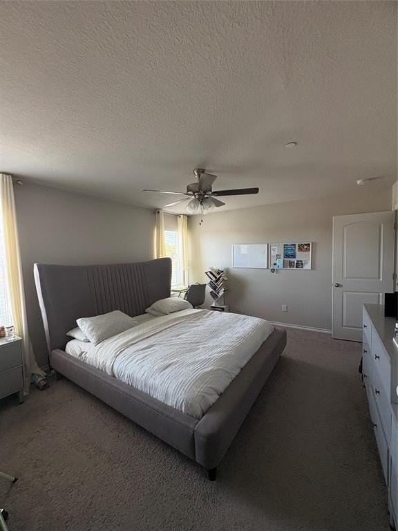 2808 Percheron Dr - Photo 3 of 5