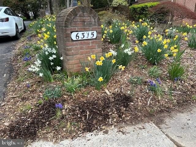 6315 Kenhowe Dr - Photo 3 of 50