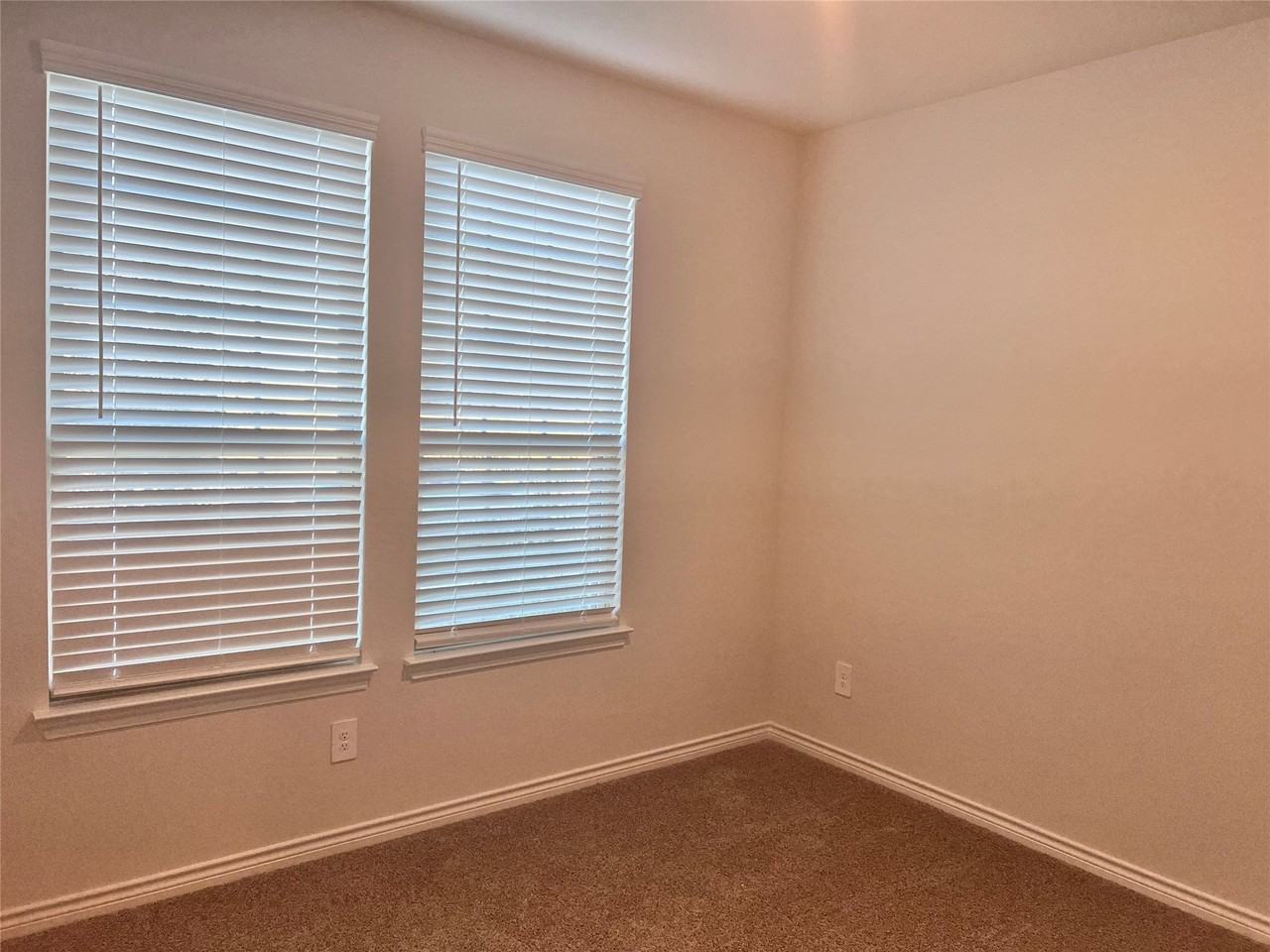 10313 Rambling Brooks Ln - Photo 4 of 17
